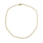 14ct Yellow Gold 7mm Cultured Pearls