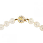 14ct Yellow Gold 7mm Cultured Pearls
