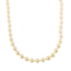 9ct Yellow Gold Pearl Necklace 8.5mm 20"