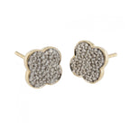 9ct Yellow Gold Diamond 0.30ct Cluster Studs