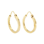 9ct Yellow Gold Hoop Earrings
