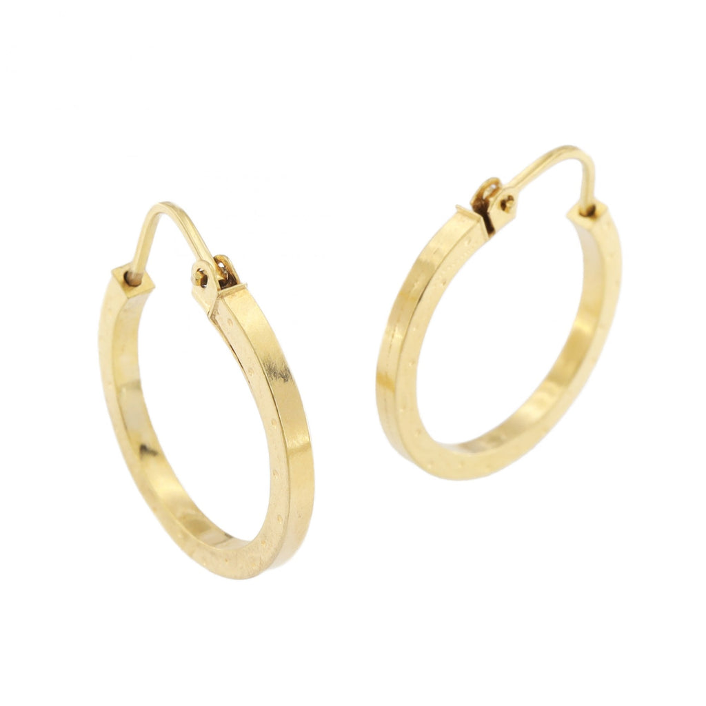 9ct Yellow Gold Hoop Earrings