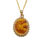 9ct Yellow Gold Amber Pendant Drop & Chain